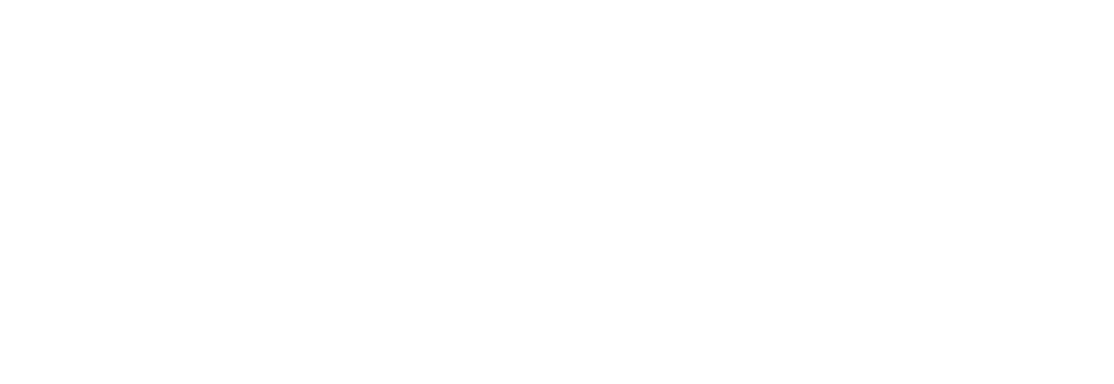 Evost Logo